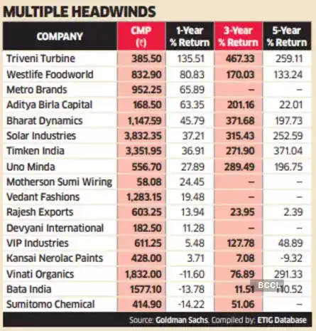17 midcaps that can tu out to be multibaggers