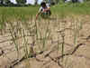 How El Nino may impact agriculture and monsoon this year?