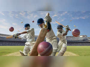 Cricket stock image istock