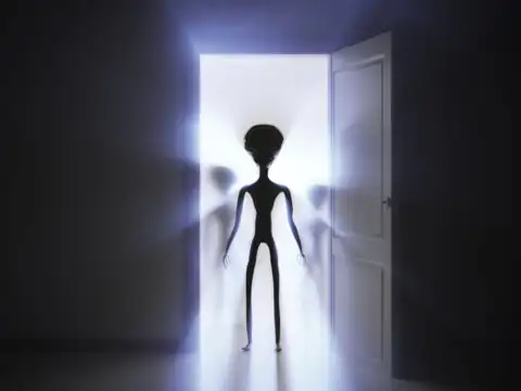 We are not alone