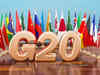 G20 working group discusses key global financial issues at 2-day Goa meet
