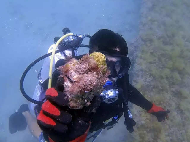 Marine scientist Hamad al-Jailani about coral restoration programme