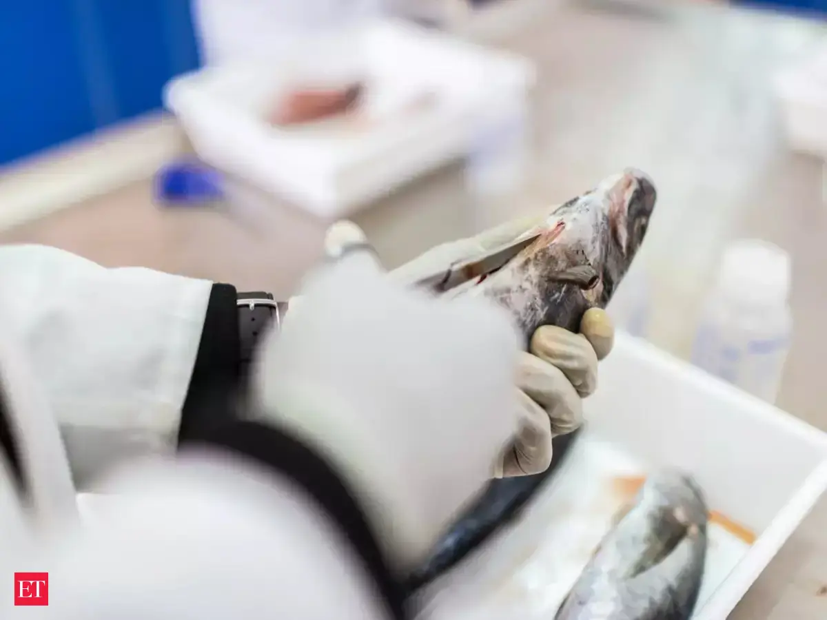 New genome research helps fisheries battle the climate crisis ...