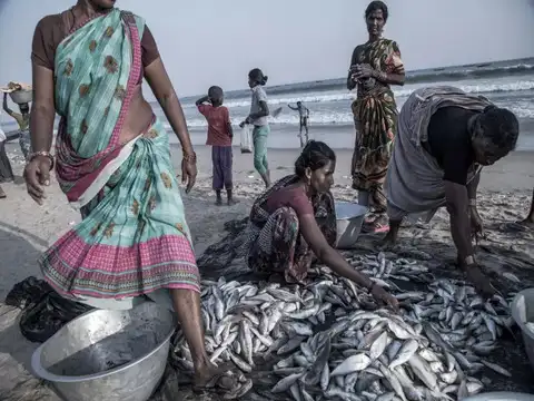 Global warming affects water quality and availability