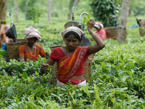 India's tea industry getting drowsy, needs some 'kadak' measures