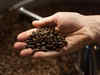 Robusta coffee jumps to record as El Niño worsens supply fears