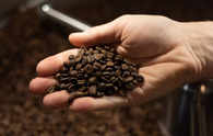 Robusta coffee jumps to record as El Niño worsens supply fears