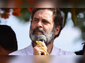 Defamatory' remarks against PM Modi: Bombay HC extends interim relief for Rahul from court appearance till Aug 2
