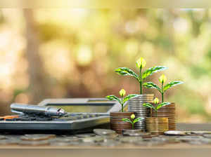 Best focused mutual funds to invest in 2023