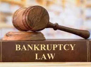 NCLT admits Tulip Hotels into insolvency