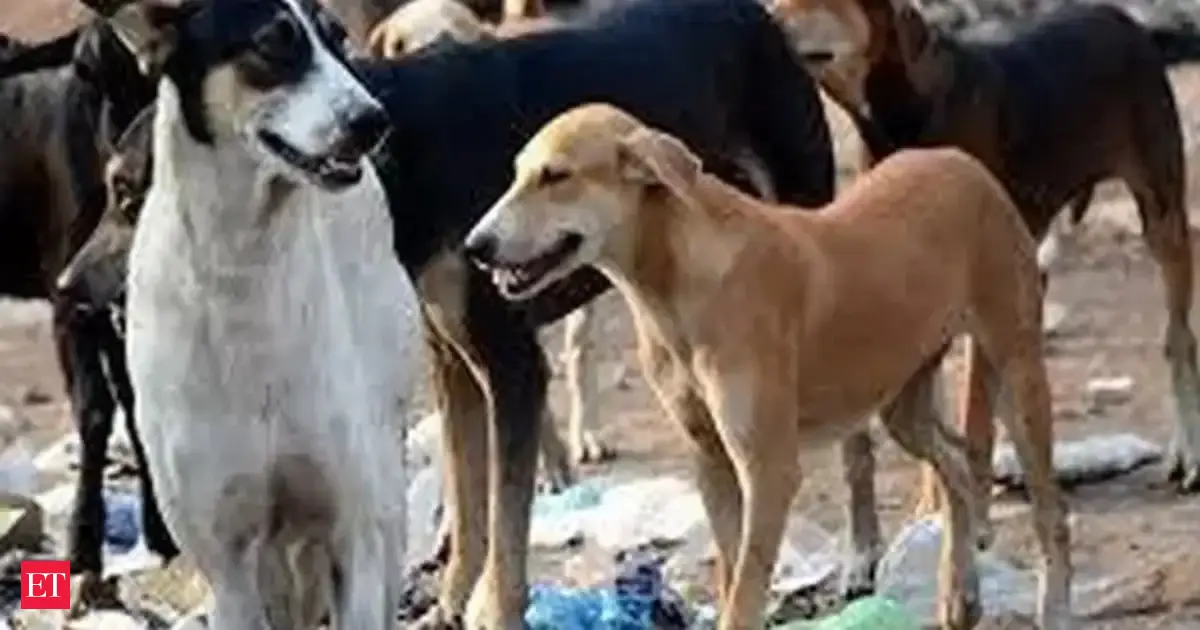 stray dogs attack: Three-yr-old mauled to death by stray dogs in Agra ...