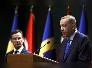Erdogan says no change in Turkey's stance on Sweden's NATO membership