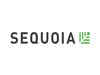 Sequoia is hunting for early deals and more AI as it splits from China