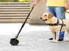 8 Best-Selling Pooper Scoopers for Dogs for an Easy and Tidy Clean up (2023)