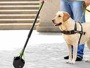 8 Best-Selling Pooper Scoopers for Dogs for an Easy and Tidy Clean up (2023)