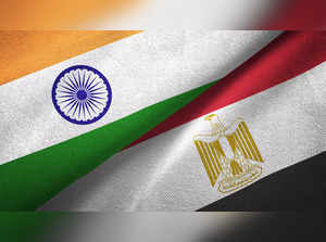 India providing credit line to Egypt - Bloomberg News