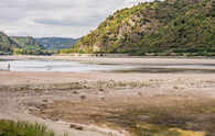 The river Rhine is starting to dry up already — two weeks into summer