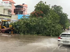 Cyclone Biparjoy: Insurance claim payments to be disbursed at the earliest, says Irdai