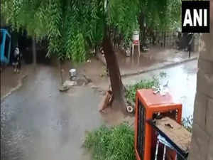 Cyclone Biparjoy: Heavy rains cause waterlogging in parts of Rajasthan