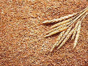 Chief of UN farm fund lauds India for reviving global focus on millets, exporting wheat to 18 countries