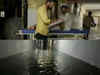 Cyclone Biparjoy fallout: Ajmer's Jawaharlal Nehru hospital flooded after heavy rains