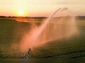 A field of potatoes is irrigated during sunset, as the risk of drought continues across France, in Blecourt