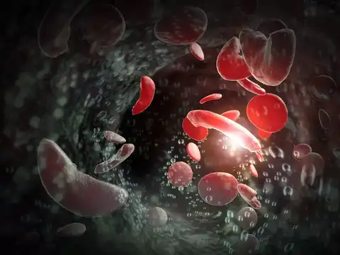India&rsquo;s Battle With SCD