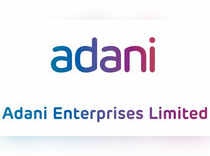 Adani Enterprises falls