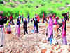 Use 70% NREGA funds in 49% poor and water-deficient blocks: Govt panel