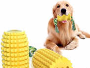 Best Dog Chew Toys that promote healthy teeth and gums