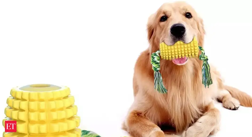 Dog chew toys Best Dog Chew Toys that promote healthy teeth and gums