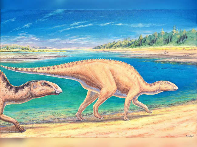 Handout picture released on June 16, 2023 by Chile's State University of an illustration by Mauricio Alvarez of a dinosaur, which remains were found in the Chilean Patagonia on June 8, 2023.  Chilean scientists have discovered a new species of duck-billed dinosaur that lived 72 million years ago in the far south of Chile. 'Gonkoken nanoi' is the name of this new dinosaur species from an ancestral lineage of hadrosaurs, which would have migrated to the Southern Hemisphere long before more advanced forms, and it is believed that they may have even reached Antarctica. - RESTRICTED TO EDITORIAL USE