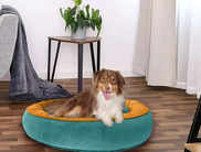 Beds for small dogs: Give your furry friend the ultimate spot to doze off