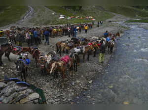 Ganderbal: Tourists take pony ride in Sonamarg, Ganderbal district. (PTI Photo/M...