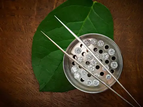 'Bharat ka Heera'