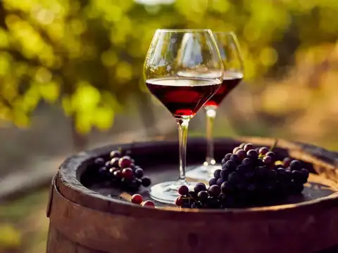 Selection of wines