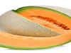 The Healthiest Summer Snack In Town: 7 Benefits Of Eating Musk Melon Daily
