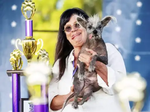 World's ugliest dog