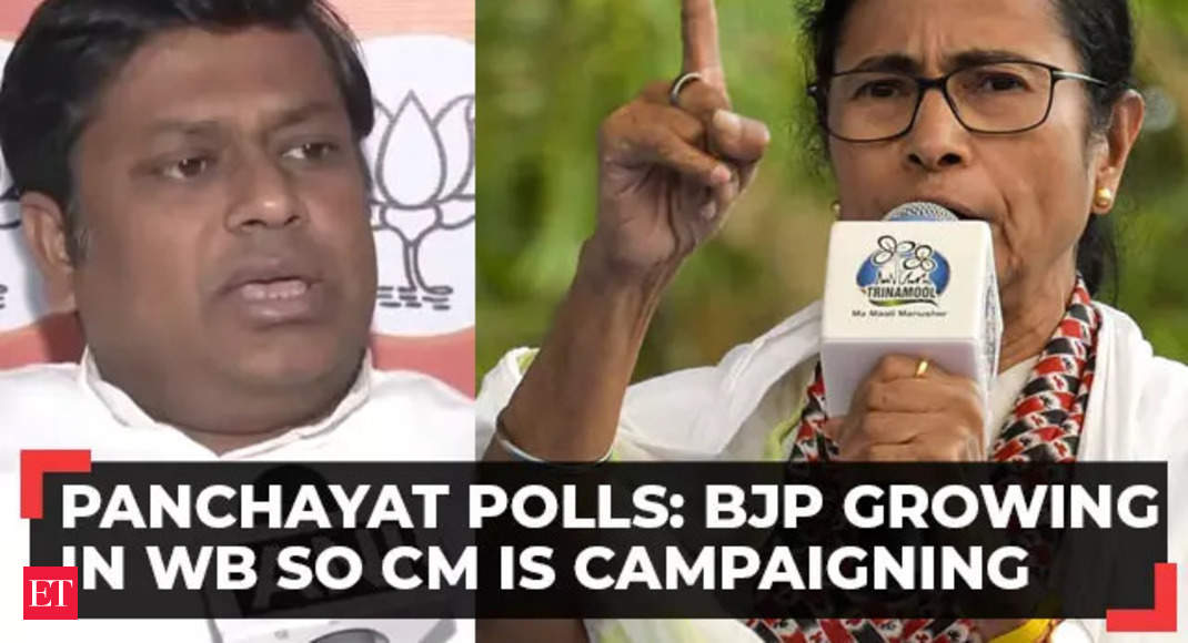 WB Panchayat polls: Mamata Banerjee's coming out for election campaign shows BJP has become strong, says BJP President - The Economic Times Video