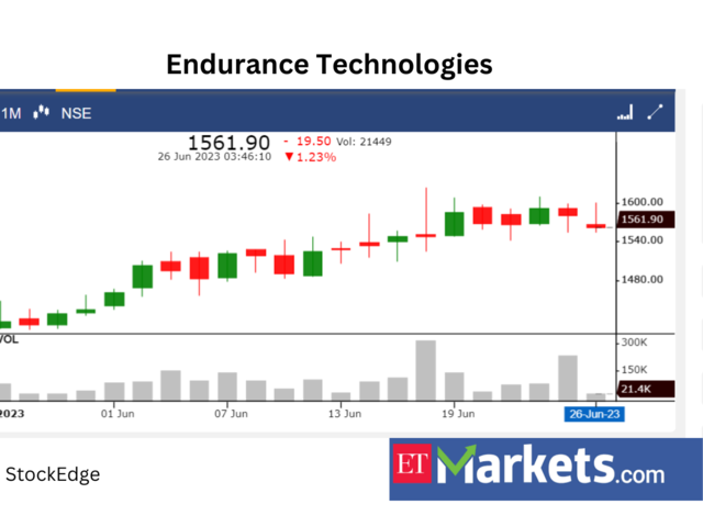 Endurance Technologies