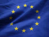 India wary of EU proposal on labour and green violations