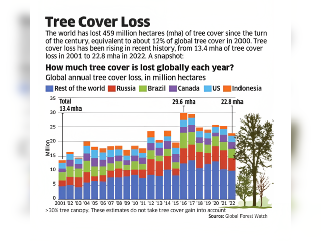 Tree cover loss
