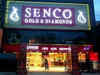 Kolkata-based Senco Gold's IPO to open on July 4. Check details