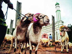 Over the weekend, Chamarajpet Maidan has seen a flurry of people looking to get affordable sheep/goat