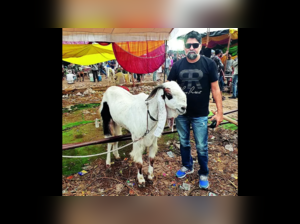 Shahrukh, the showstopper at goat market, fetches Rs 6 lakh