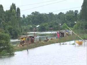 Assam flood: Situation improves, over 20,000 people still affected
