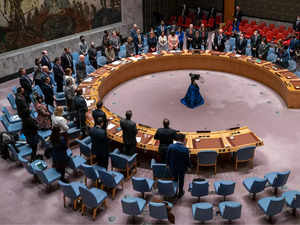 UK calls for UN reform with permanent Security Council seat for India
