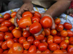 New Delhi: A tomato vendor in New Delhi. Tomato prices have soared across India ...