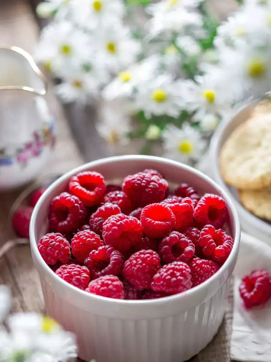 Raspberries A Delicious Way To Prevent Disease And Aging NewsPoint