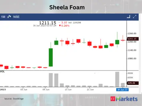 Sheela Foam